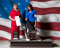 Tibetian Terrier #6 Sat G4 VOLAN Lori Lee Whittier Judge Cristine Cameron