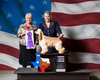 Cocker Spaniel ASCOB #18 Sat WB Scott Goldberg Judge Linda K Bowers
