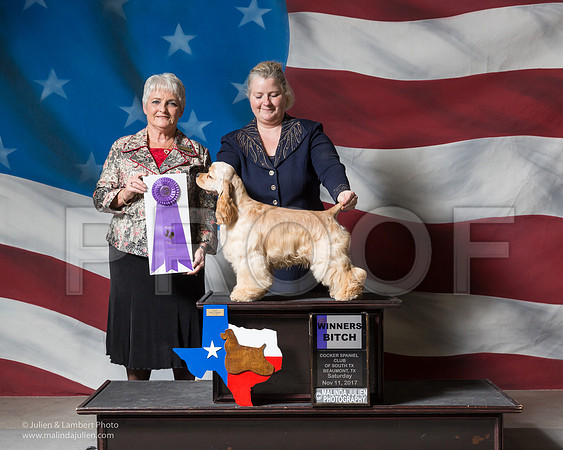 _ST_6807_Beaumont2017