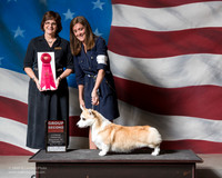 Corgi Pembroke #5 Sat G2 ALHADEF Kelli Judge Danielle Brown