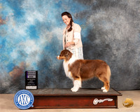 Australian Shepherd #25 Fri RWD Judge Eric Liebes