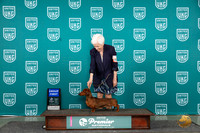 Dachshund #1082 Sun G1 Judge Lori Sargent
