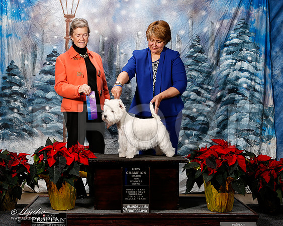_ST_7989-2-DallasDec2014-HR3