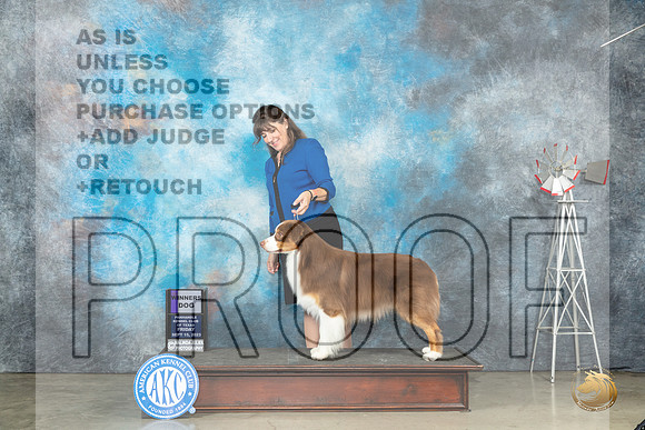 Australian Shepherd #5 Fri WD Judge Steve Keating_JP_3880_Amarillo2023_HR3