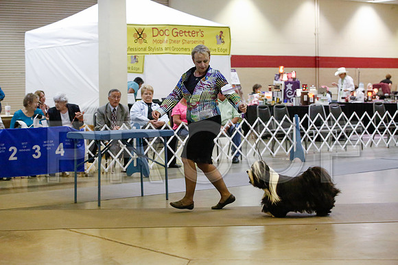 _JJ_0168-AmarilloSept2014-HR3