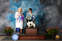 Papillion #5 Sun WDBOW Judge Pamela Wilson