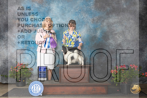 Papillion #5 Sun WDBOW Judge Pamela Wilson__JP_6119_San Antonio_2024_HR3