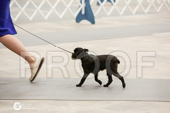 _CK_7188-AblnMay2014-web