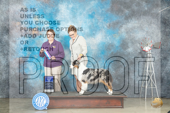 Australian Shepherd #22 Thur WBBOW Judge Sandra Walker_JP_3959_Amarillo2023_HR3