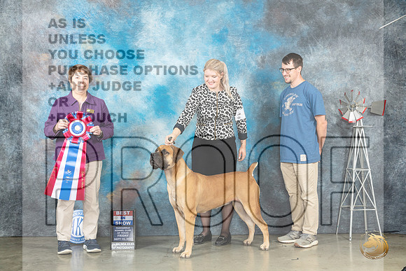 Boerbel #6 Fri BIS Judge Sandra Walker_JP_4081_Amarillo2023_HR3
