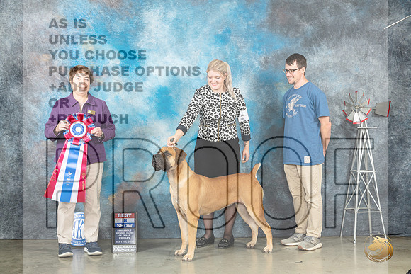 Boerbel #6 Fri BIS Judge Sandra Walker_JP_4082_Amarillo2023_HR3