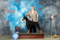 Doberman Pinscher #9 Fri G2 Judge Randy Garren