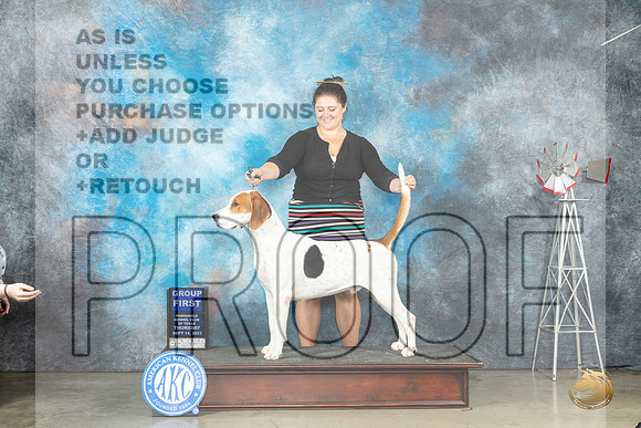 English Fox Hound #5 Thur G1 Judge Dr Steve Keating r_JP_4157_Amarillo2023_HR3