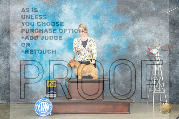 Norfolk Terrier #7 Fri G3 Judge Randy Garren_JP_3908_Amarillo2023_HR3