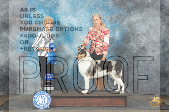 Collie Smooth #7 Mon G1 Judge June Penta__JP_4591_Lubbock_2024_HR3