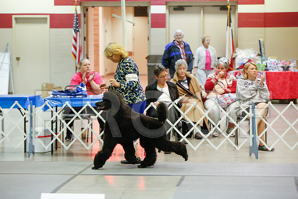_JJ_4771-AmarilloSept2014-HR3