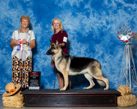 German Shepherd Dogs #12 Thrs BOS Cos Charles Judge Mrs Patricia A Hess