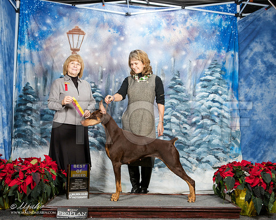 _ST_9408-DallasDec2014-HR3