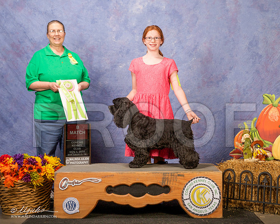 _CL_4565-SanAngelo2014-HR3