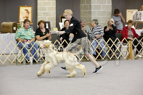 _JJ_1615-AfgBeltonOct2014-HR3