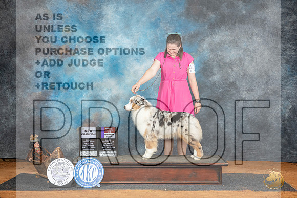 Australian Shepherd #14 WBBOSCH Judge Karen Hynek__JP_7748_MARSHALL_2024_HR3