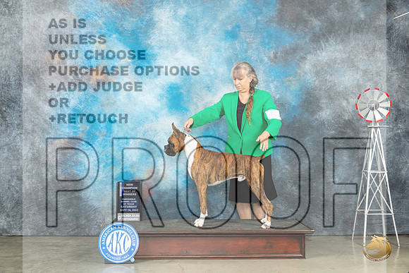 Boxer #5 Sat BOWWDCH Judge Judy Brown_JP_4265_Amarillo2023_HR3