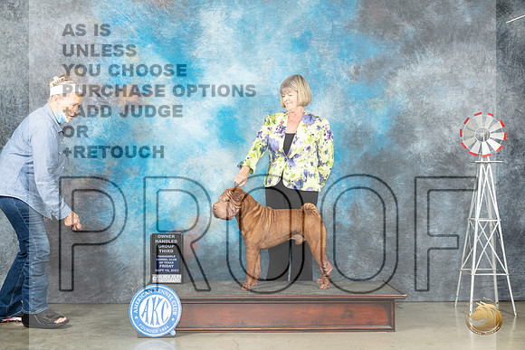 Chinese Shar Pei #7 Fri OHG3 Judge Judy Brown_JP_4307_Amarillo2023_HR3