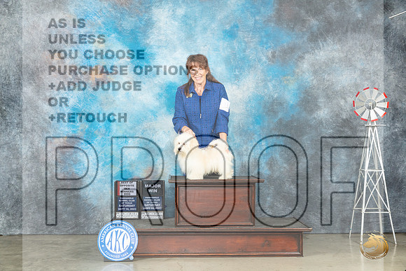 Havanese #11 Sat BOSWDM Judge Randy Garren_JP_4285_Amarillo2023_HR3