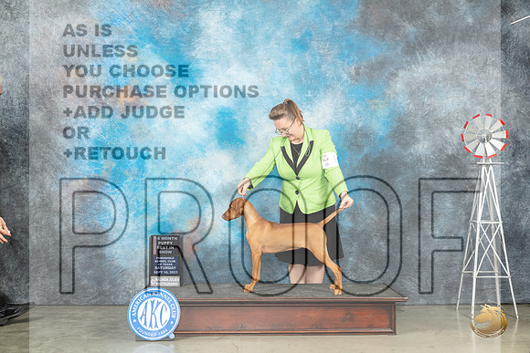 Vizsla #10 Sat PBIS Judge Randy Garren_JP_4261_Amarillo2023_HR3