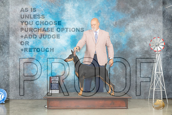 Doberman Pinscher #8 Sat WBBOS Judge Judy Brown_JP_4240_Amarillo2023_HR3