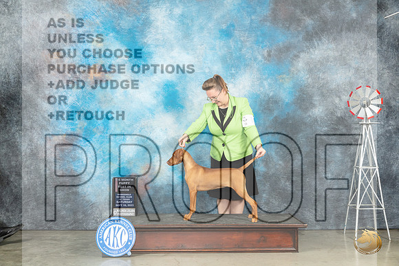 Vizsla #10 Sat PBIS Judge Randy Garren_JP_4262_Amarillo2023_HR3