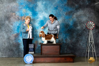 Cavalier King Charles Spaniel #8 Sat G4 Judge Judy Brown