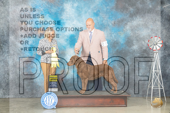 Chesapeake Bay Retriever #6 Sat g3 Judge Helen Dorrence_JP_4460_Amarillo2023_HR3