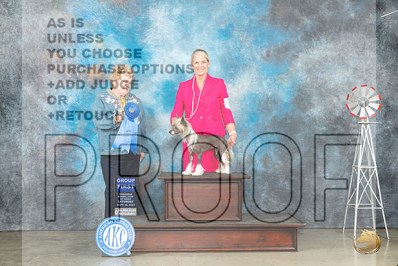 Chinese Crested #10 Sat G1 Judge Judy Brown_JP_4458_Amarillo2023_HR3