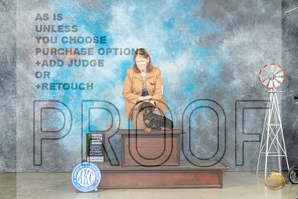 Dachshund Wirehaired #6 Sat ADVNT Judge Bonnie Lee_JP_4522_Amarillo2023_HR3