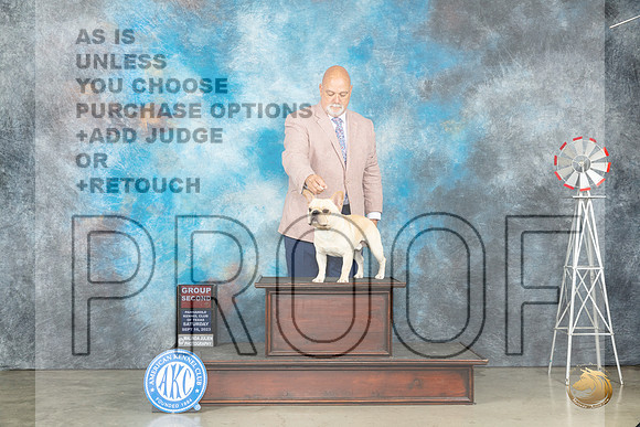 French Bulldog #8 Sat 2 Judge Helen Dorrence_JP_4562_Amarillo2023_HR3