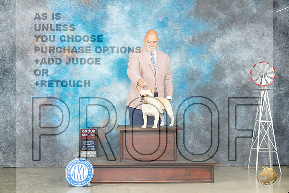 French Bulldog #8 Sat 2 Judge Helen Dorrence_JP_4564_Amarillo2023_HR3