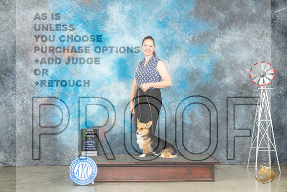 Pembroke Welsh Corgi #43 Sat NTNOVA Judge Bonnie Lee_JP_4477_Amarillo2023_HR3