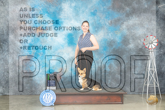 Pembroke Welsh Corgi #43 Sat NTNOVA Judge Bonnie Lee_JP_4476_Amarillo2023_HR3