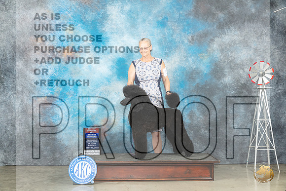 Poodle Std #14 Fri BOBBOW Judge Randy Garren_JP_4536_Amarillo2023_HR3