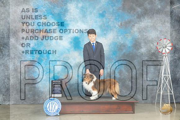 Shetland Sheepdog #J6 Sat NOVJr1 Judge Helen Dorrence_JP_4382_Amarillo2023_HR3