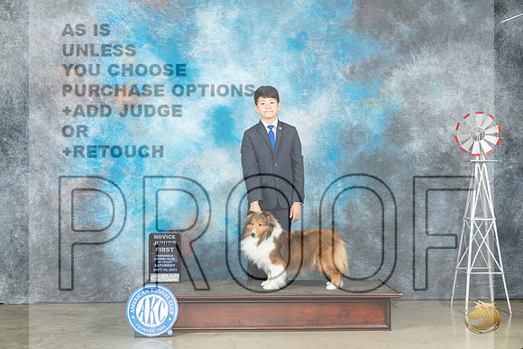 Shetland Sheepdog #J6 Sat NOVJr1 Judge Helen Dorrence_JP_4386_Amarillo2023_HR3