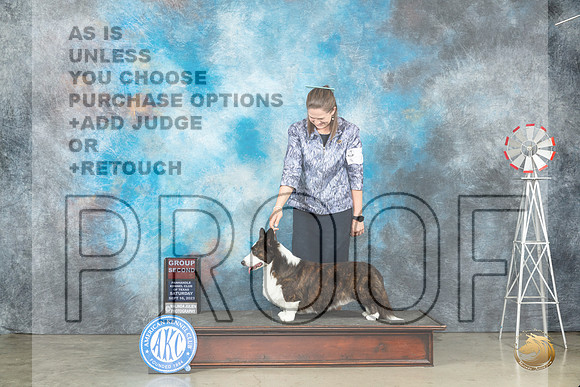 Cardigan Welsh Corgi #7 Sat G2 Judge Judy Brown_JP_4438_Amarillo2023_HR3