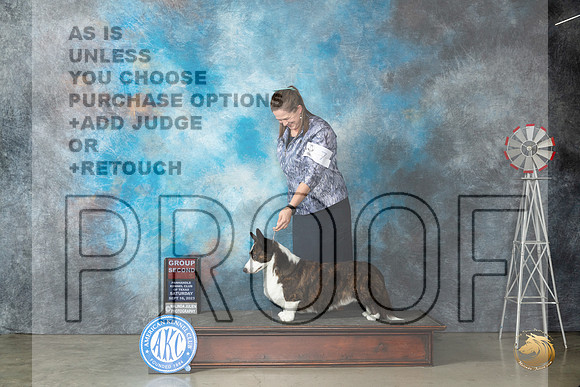 Cardigan Welsh Corgi #7 Sat G2 Judge Judy Brown_JP_4440_Amarillo2023_HR3