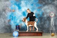 Bracco #8 Sat WBBOWBOS Judge Helen Dorrence