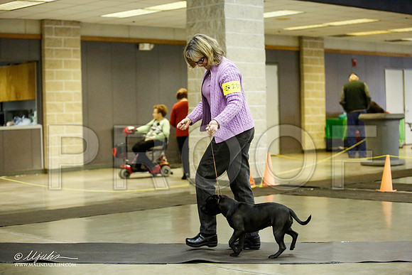 _JJ_6015-BeltonJan2015IABCA-HR3