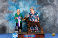 Doberman #15 WED RWD Judge Alisa Brotherhood