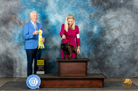 French Bulldog #11 Sun G4 Judge Dr Steve Keating