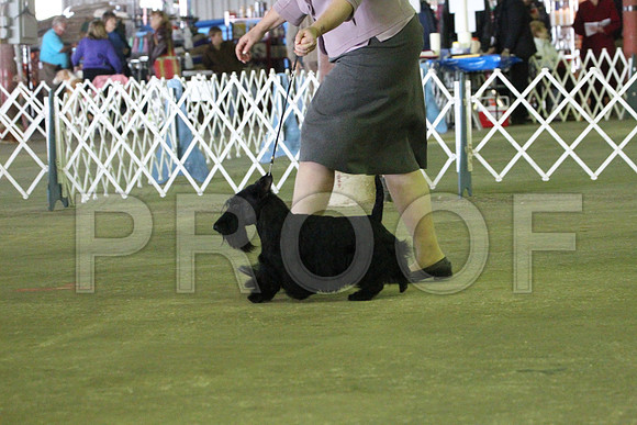 MJS_6058
