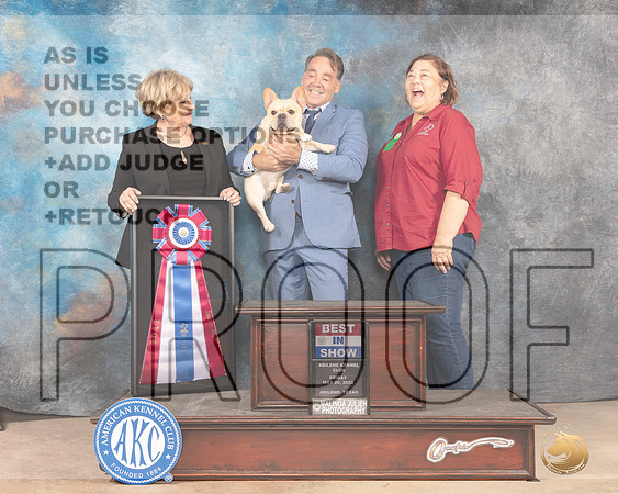 French Bulldog #7 Fri BIS Judge Peggy Beisel McIlwaine-MMJ_3447-Addison2022-HR3